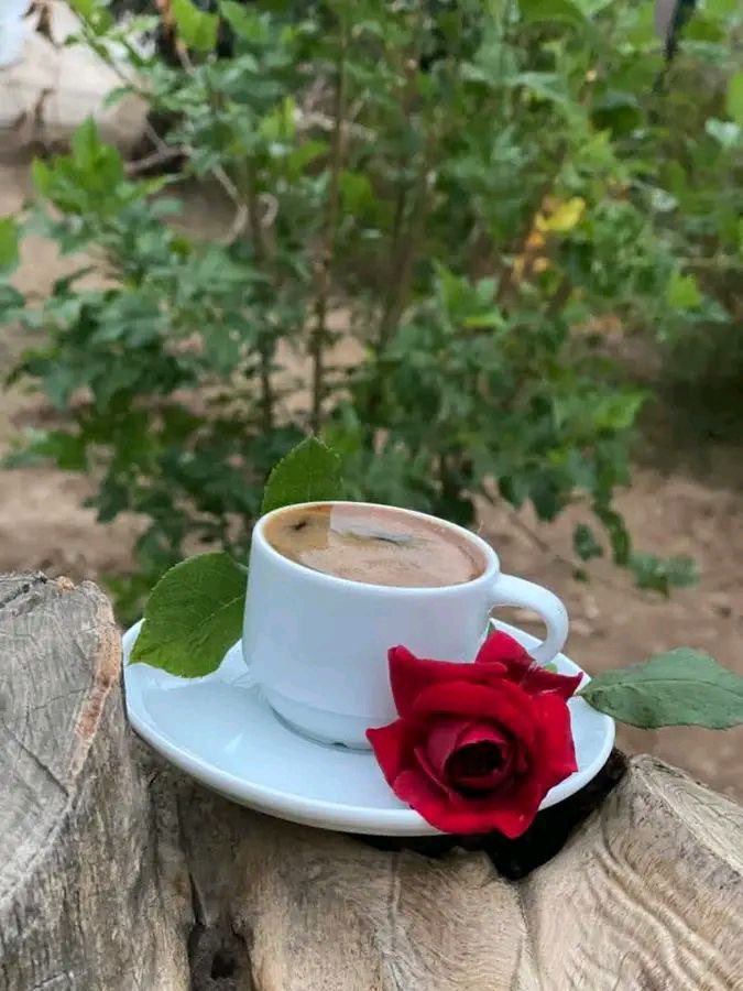 sssbbb8888's tweet image. وبك أصبحنا فـاللهُم إرضَ عنا رضَاً لا نرى بعدهُ إلا جمال نعيمك علينا , آميـــــن 🌸🌱..
#صباح_الخير 
#صباح_الخير_والسعاده