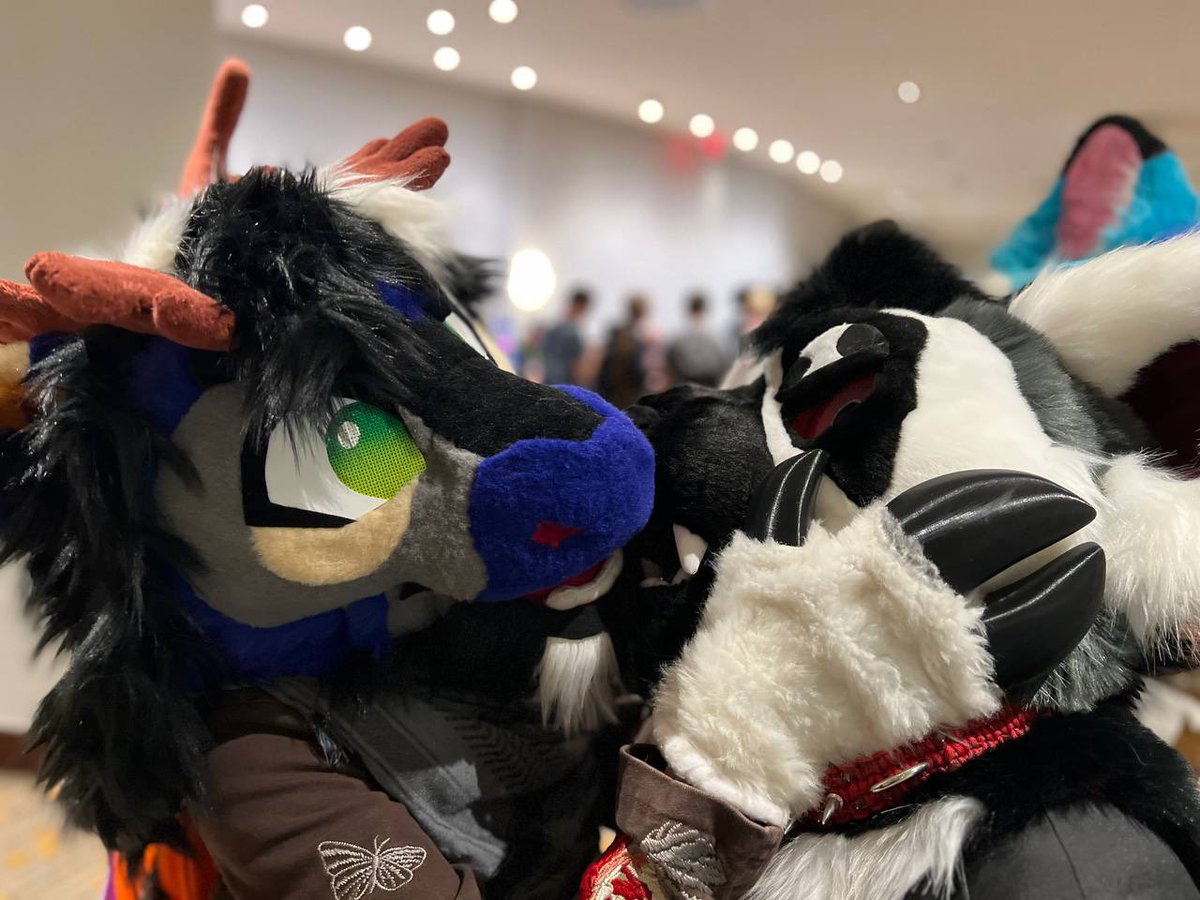 🕷️ 𝕾𝖕𝖊𝖈𝖙𝖔𝖗💀🕷️🔜TFF tweet media