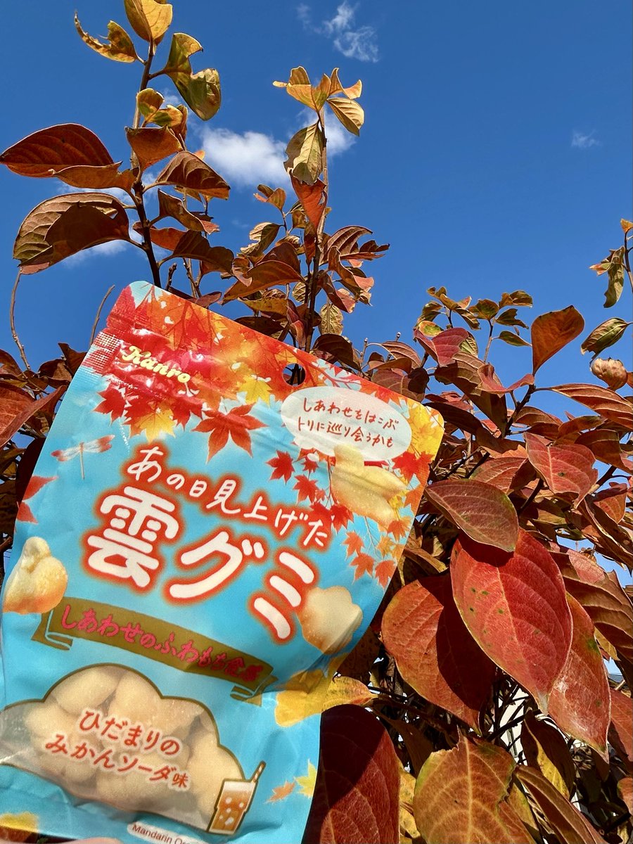 うさぎのピーちゃん (@UsaP4343) / Posts / X