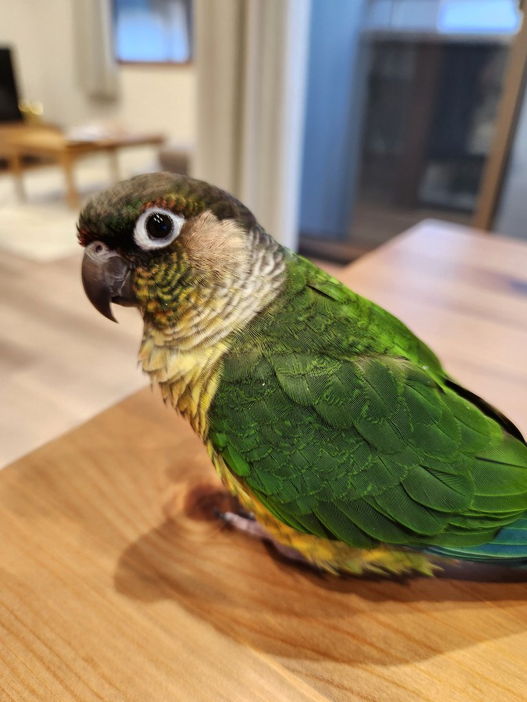 クリスマスプレゼント楽しみにしててね🎁✨