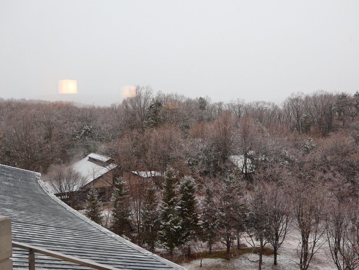 ゆこたんの森【岩手 雫石 南網張ありね 温泉】 (@yukotan_no_mori