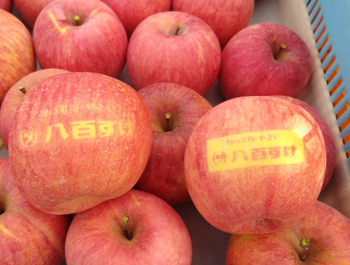 りんごページ☺︎ 絵付けりんご