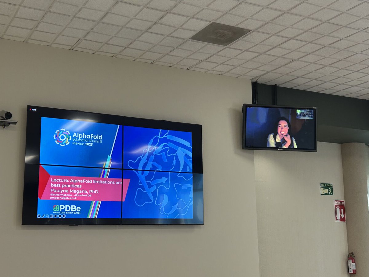 afesmx25's tweet photo. 🧬✨ Día 2 del #AFESMX25

Hoy nos metimos de lleno a los talleres:

🔹 Limitaciones y buenas prácticas de AlphaFold
🔹 Predicción de estructuras con AlphaFold 3/ColabFold
🔹 Integración con otros datos biológicos
🔹 Simulación de un proyecto de investigación usando AlphaFold https://t.co/2kYH2tO2u5