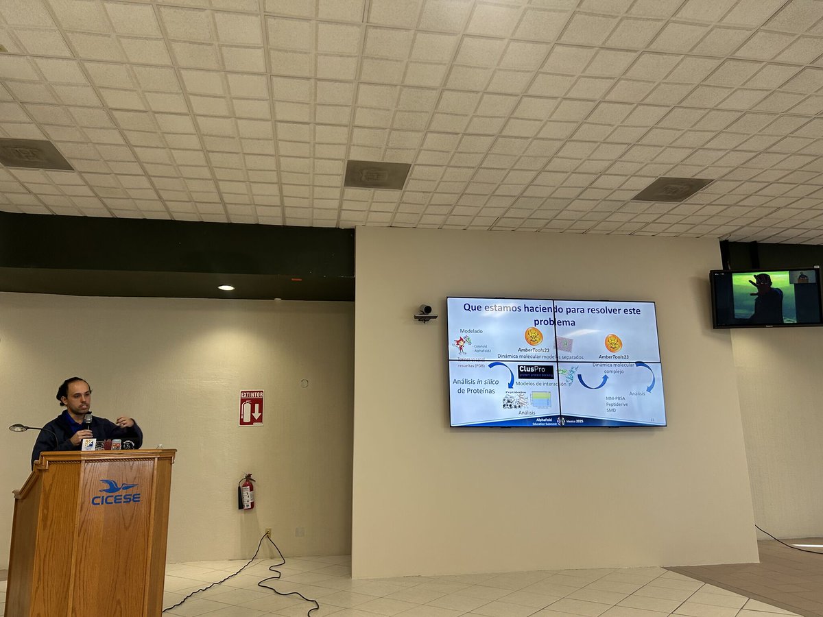 afesmx25's tweet photo. 🧬✨ Día 2 del #AFESMX25

Hoy nos metimos de lleno a los talleres:

🔹 Limitaciones y buenas prácticas de AlphaFold
🔹 Predicción de estructuras con AlphaFold 3/ColabFold
🔹 Integración con otros datos biológicos
🔹 Simulación de un proyecto de investigación usando AlphaFold https://t.co/2kYH2tO2u5
