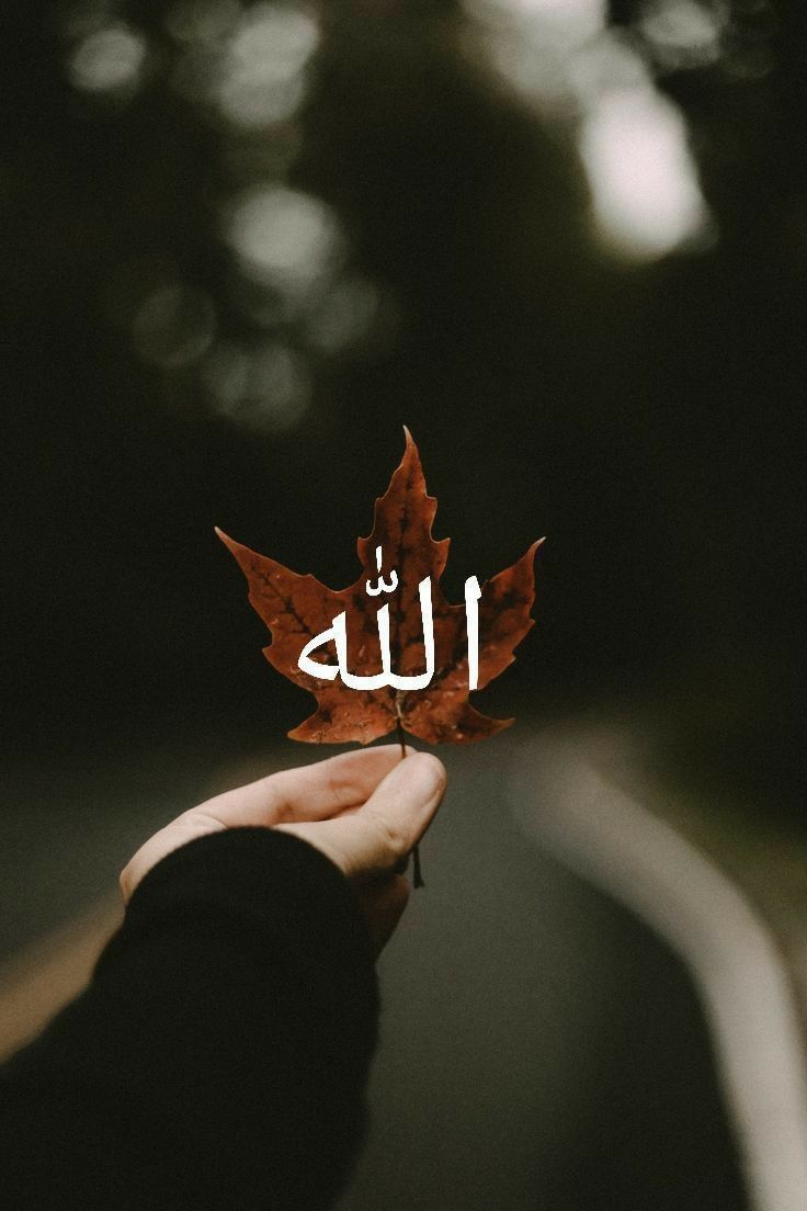 “Zaten O’ndan başka sığınak da bulamazsın.” 

Kehf, 27