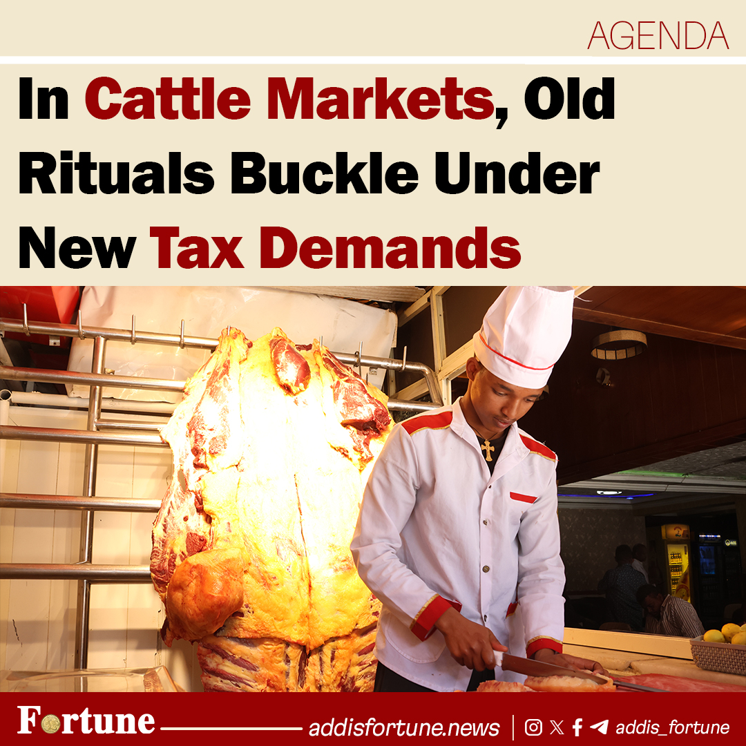 addis_fortune's tweet photo. A new city rule demands that butchers buying livestock must collect and submit detailed seller information. #TaxReform #Cattle #Animal #Ethiopia #Butchery
Read more - https://t.co/esMwaj1uTX https://t.co/KPamH528T4