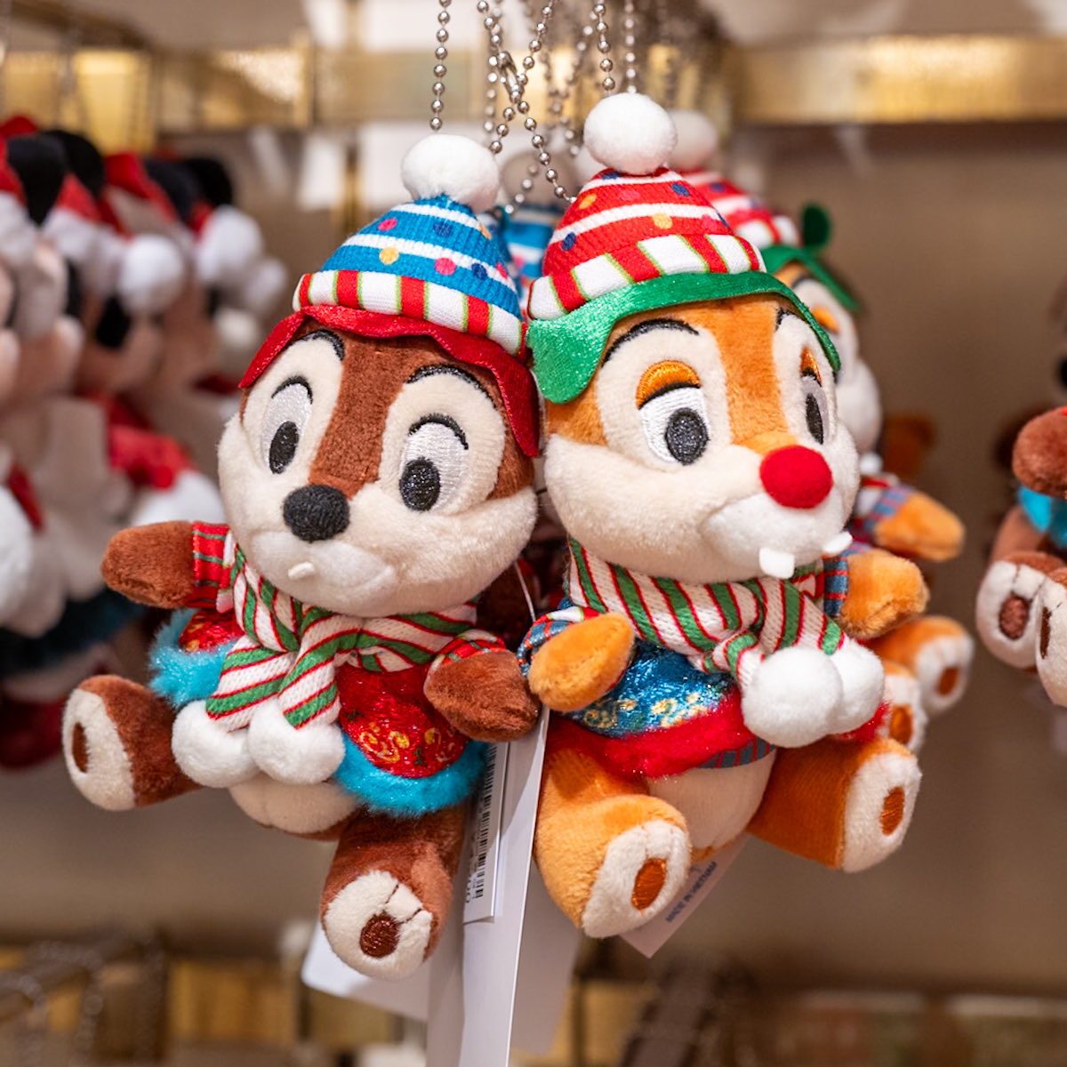 東京ディズニーランド 