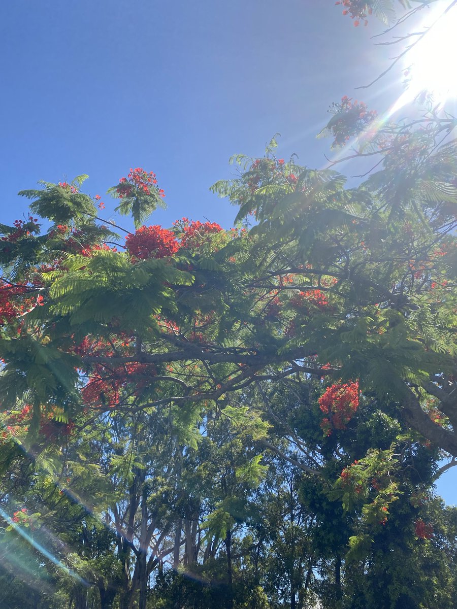 Sover1gn's tweet image. #touchgrass my friends! 🌱🥷