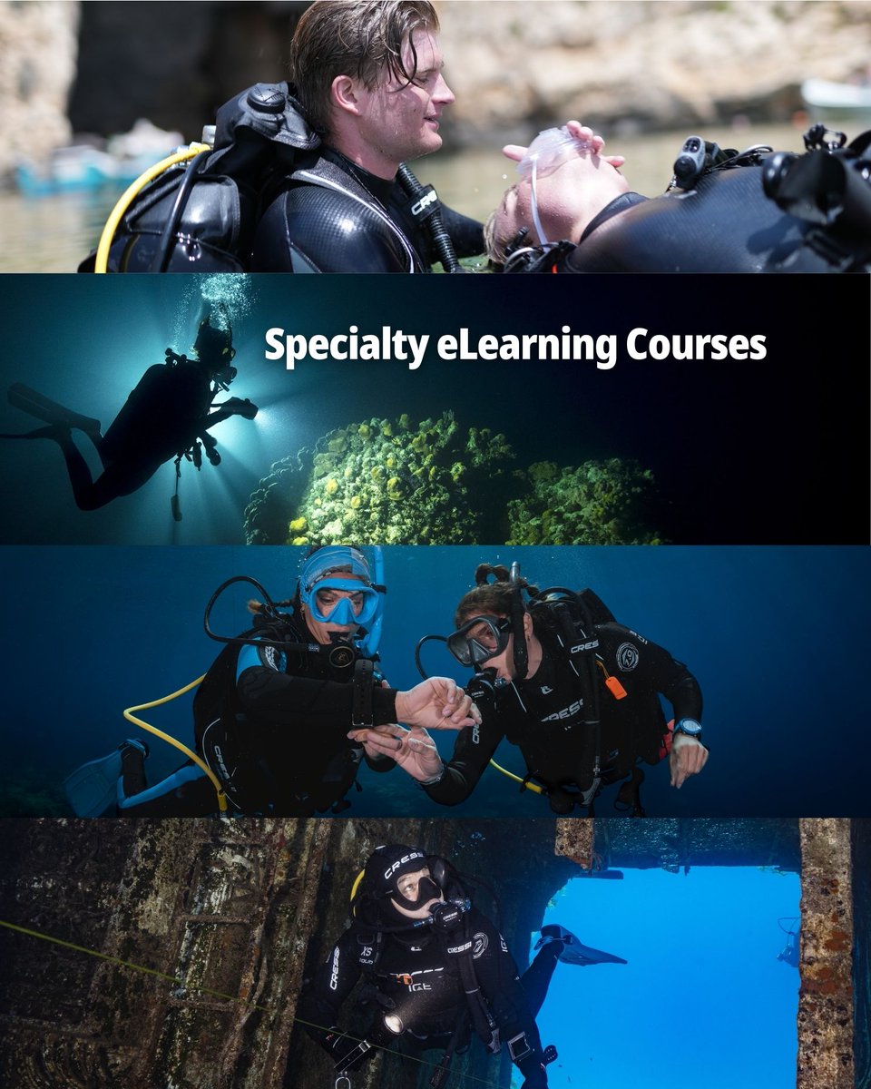 PADI's tweet image. The ocean lover in your life deserves a holiday gift! 🎁 Choose the perfect present for your favorite dive buddy. 🤿

🛒 Shop now: padi.com/gift-guide-for…

#PADI #HolidayGift #PADIGift #OceanLovers