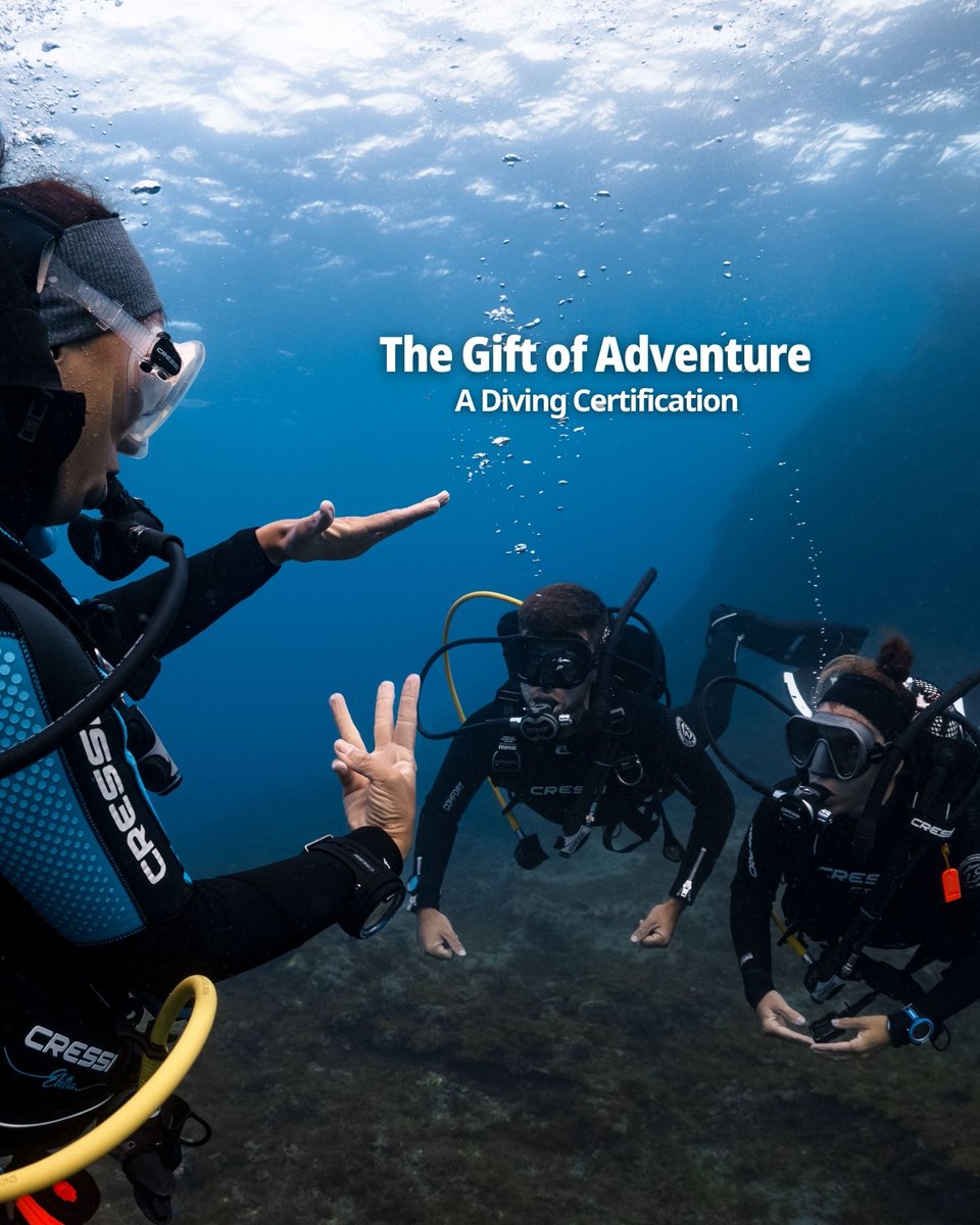 PADI's tweet image. The ocean lover in your life deserves a holiday gift! 🎁 Choose the perfect present for your favorite dive buddy. 🤿

🛒 Shop now: padi.com/gift-guide-for…

#PADI #HolidayGift #PADIGift #OceanLovers