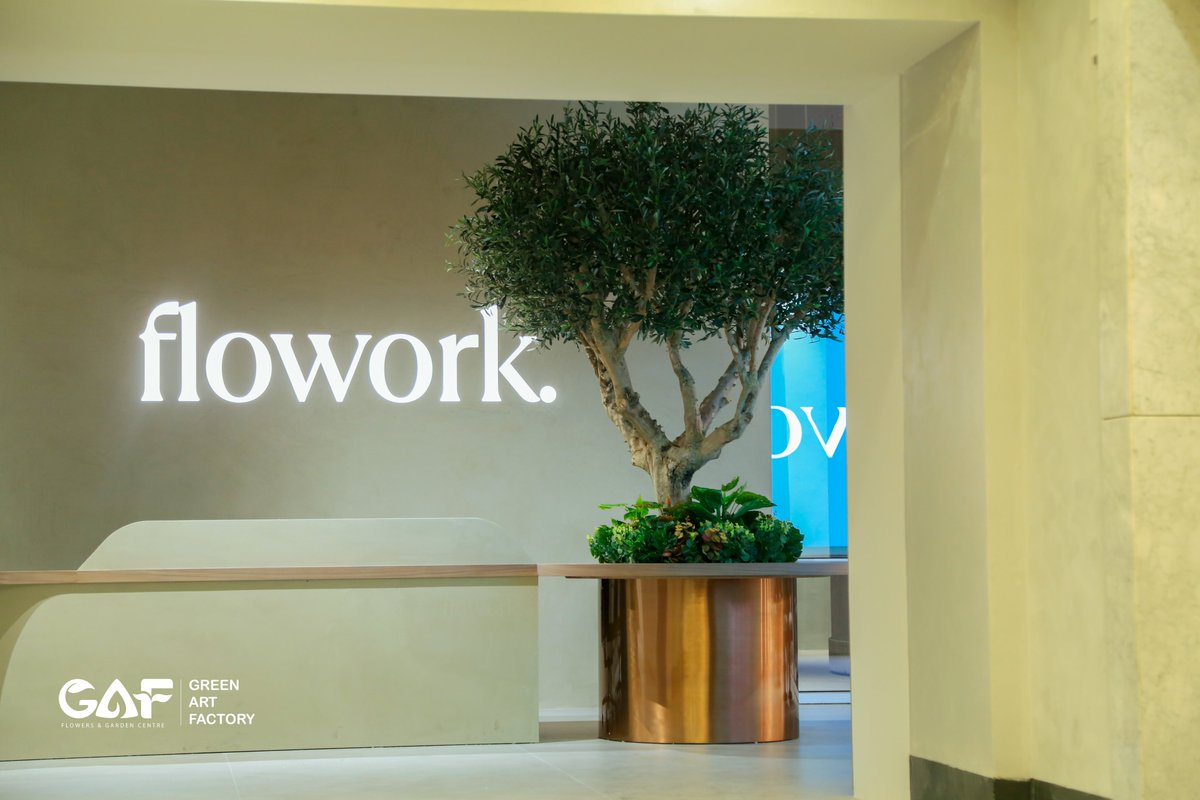 Greenmosswall's tweet image. Full Office Greenery Project at Flowork 🌿🏢✨

🌐 greenartfactory.ae
☎ Voice/WhatsApp: +971 56 95 88 315
📧 info@greenartfactory.com

#GreenArtFactory #WorkspaceDesign #ArtificialPlants #ArtificialOliveTree #HangingPlants #OfficeMakeover #CreativeTeam #Dubai #Flowork