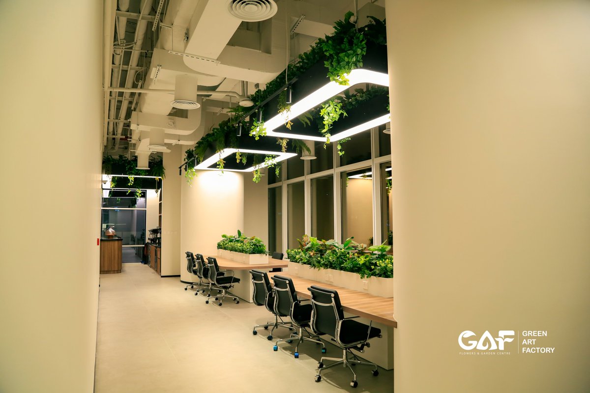 Greenmosswall's tweet image. Full Office Greenery Project at Flowork 🌿🏢✨

🌐 greenartfactory.ae
☎ Voice/WhatsApp: +971 56 95 88 315
📧 info@greenartfactory.com

#GreenArtFactory #WorkspaceDesign #ArtificialPlants #ArtificialOliveTree #HangingPlants #OfficeMakeover #CreativeTeam #Dubai #Flowork