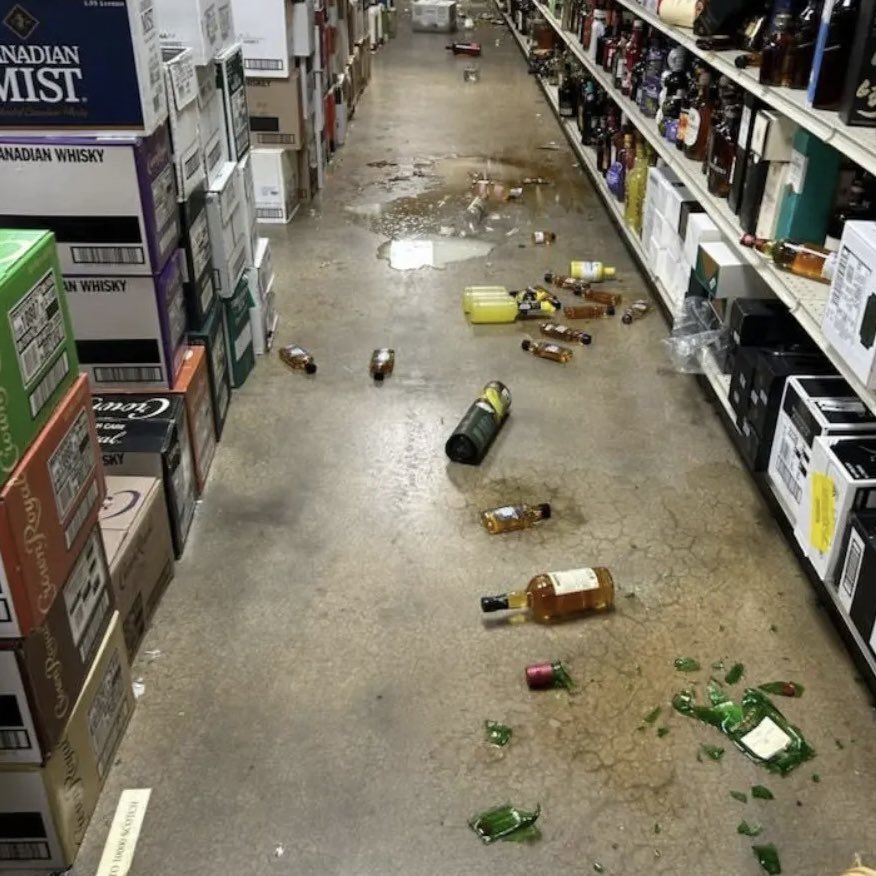 DeccanChronicle's tweet photo. Raccoon Crashes Liquor Store Ceiling, Gets Drunk on Black Friday

Late Black Friday in #HanoverCounty, #Virginia, the masked visitor smashed shelves at an Ashland ABC store, spilling whiskey everywhere and lapping it up until intoxicated. 
Animal Protection Officer Samantha Martin found it "splooted" next to the toilet Saturday morning, netted it safely, and released it after sobering up with no injuries. 

Store staff tallied the damage but embraced the humor, dubbing the furry intruder Rocky with its epic hangover tale.
(Pictures courtesy : X)