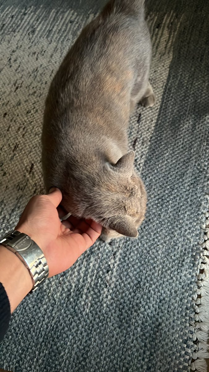 İyi insanlar.
Günaydın.😎