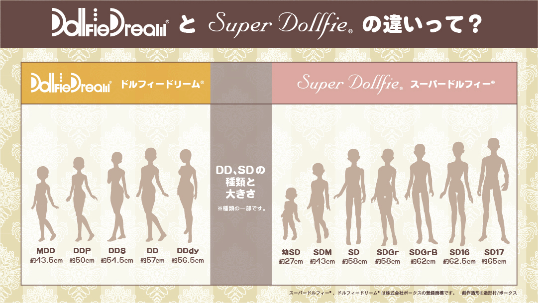 DDとSDの違いって？】 ボディの種類と大きさの比較 ▽詳しくはこちら