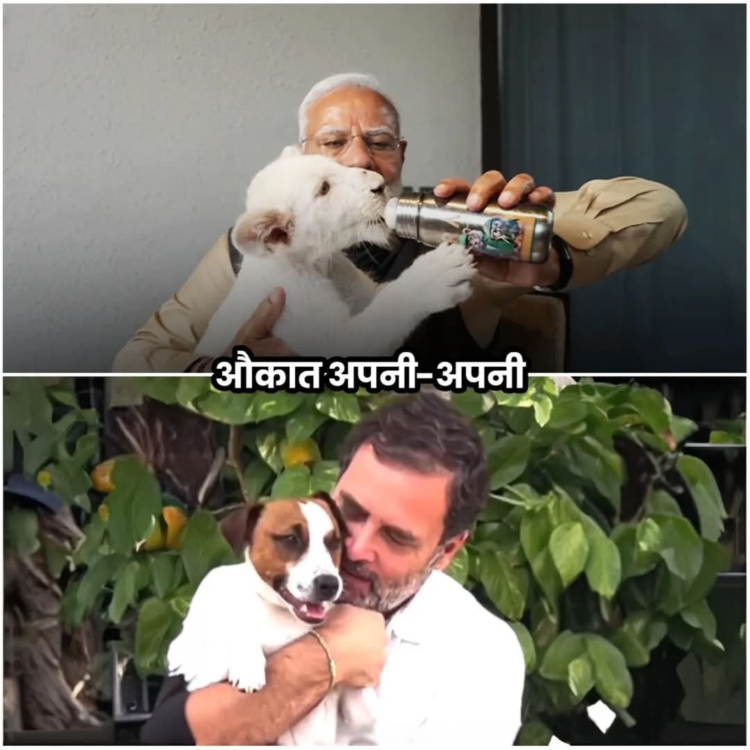 Unfiltered Bhaiya (UP Wale) tweet media