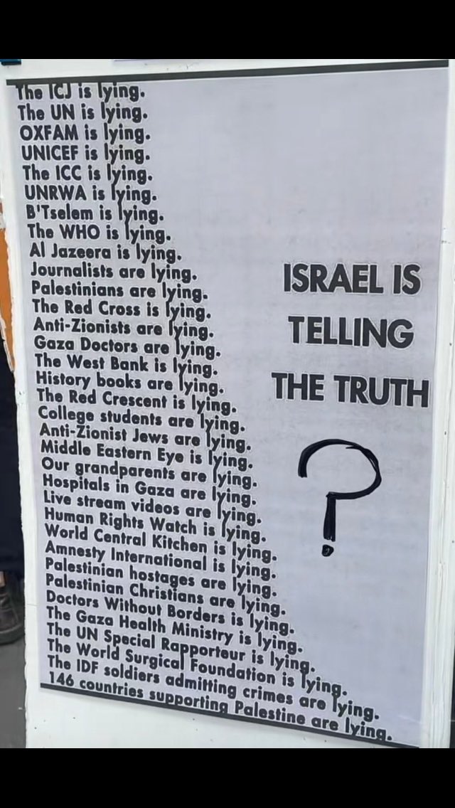 Behi B 🐝 tweet media