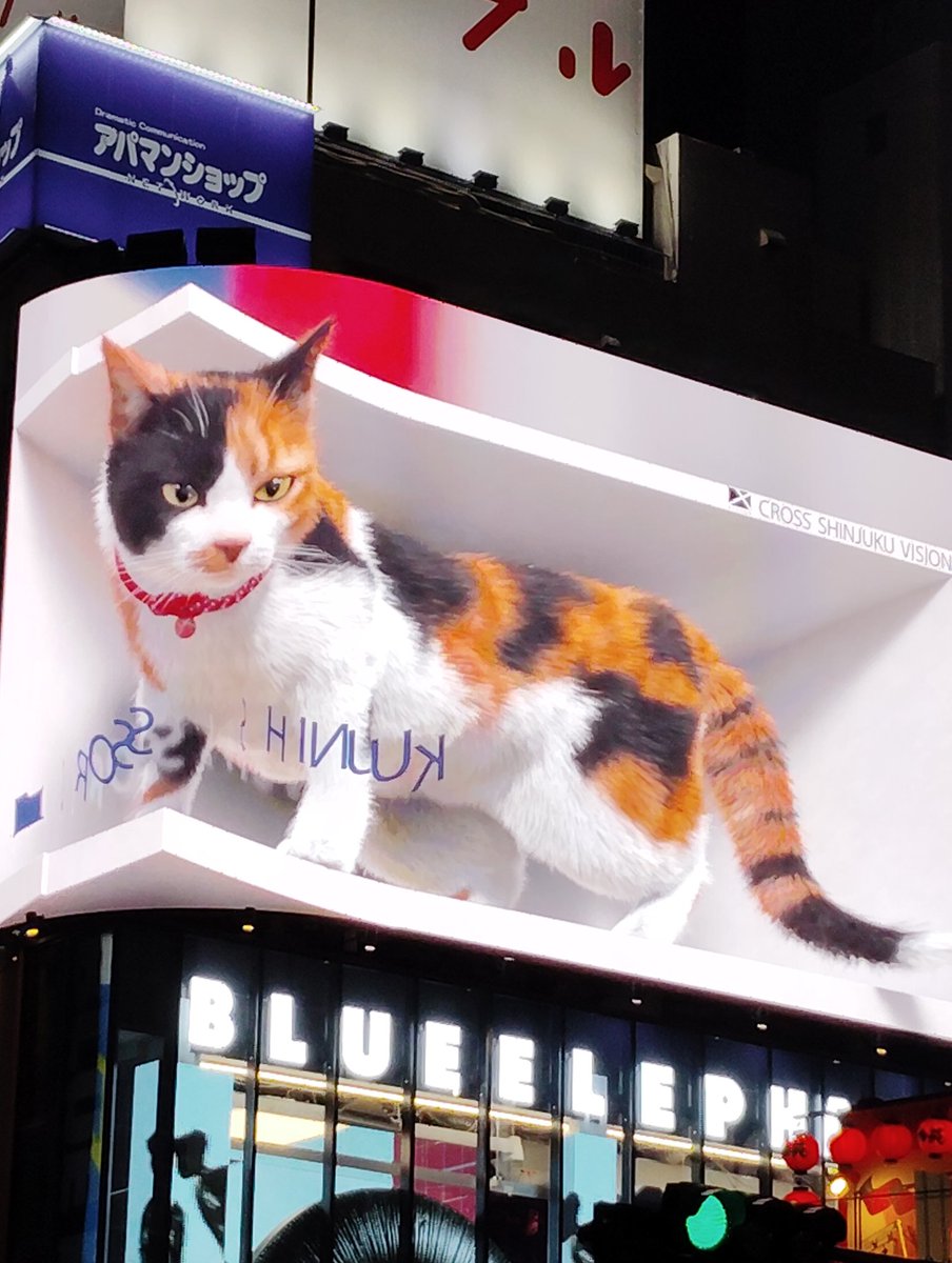 新宿徘徊｡⁠◕⁠‿⁠◕⁠｡