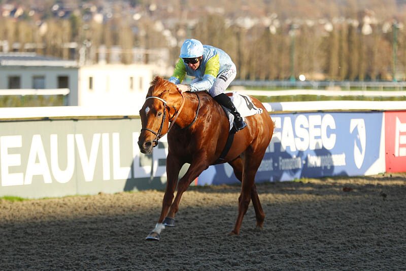 AlexPantall's tweet photo. Some more photos of yesterday’s winner
TALMAS (C2) by #GoldenHorne at @fgdeauville
Prix de l’Hotellerie / Maiden
@AlexPantall
🎩 @NurlanBizakov
🏇🏻 @PicconeTony
Breeder #SUMBE
Photos @AprhChantilly https://t.co/rZ6B0XDsqf