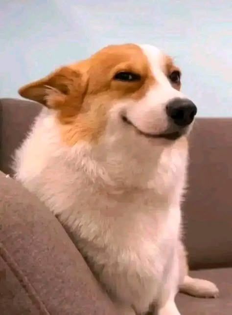 ChrolloWeb3's tweet image. Many in Web3 mistake loud threads and meme engagement for actual disruption, treating real impact as a non-essential side quest they skip. The true meta has already shifted

The final boss is execution. @bad_chain provides the audited, transparent on-chain rails. @GrantiX_SoFi…