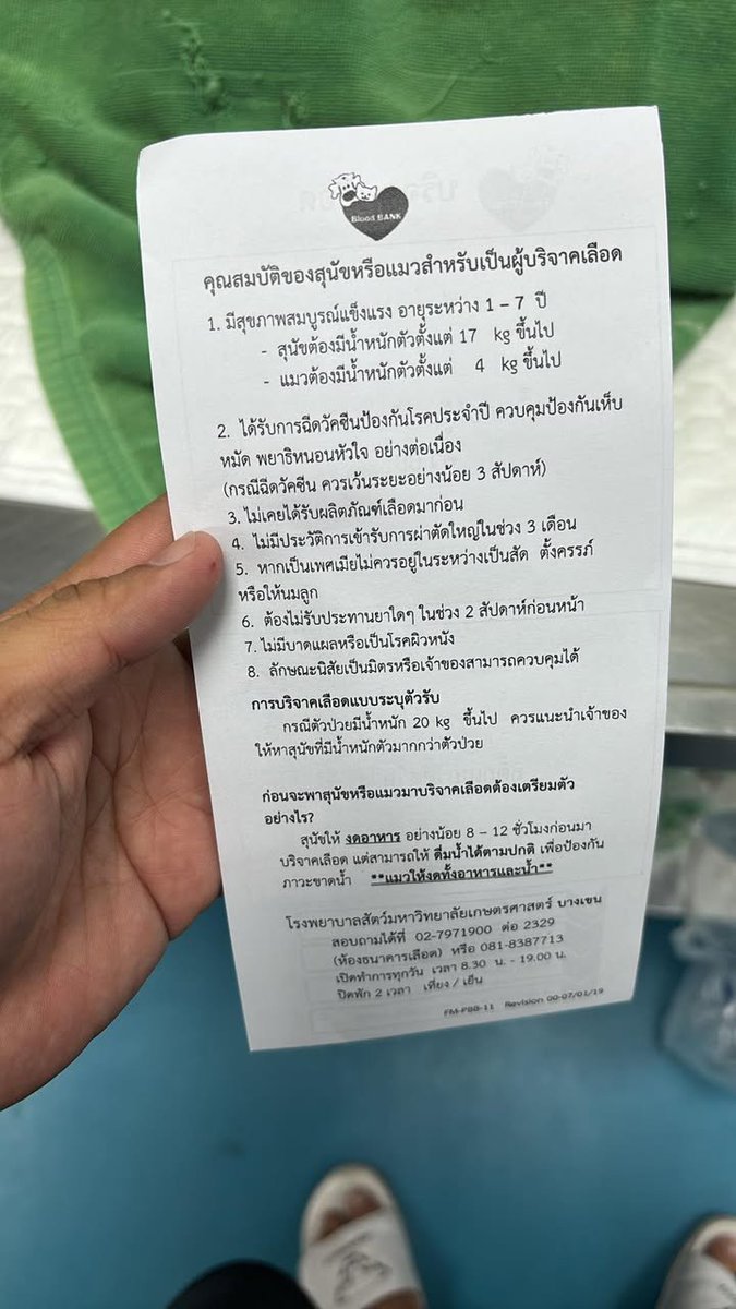 CatsterClub's tweet image. 🩸ขอรับบริจาคเลือดน้องแมวด่วนค่ะ🩸 (ฝากประกาศ)

โรงพยาบาลสัตว์เกษตรบางเขน
ติดต่อ คุณวัชระ สังวาลย์0947622769

ใครที่มีน้องแมวสุขภาพแข็งแรง
ฉีดวัคซีนครบถ้วน สามารถช่วยเหลือน้องได้รบกวนด้วยนะคะ 🙏🏻