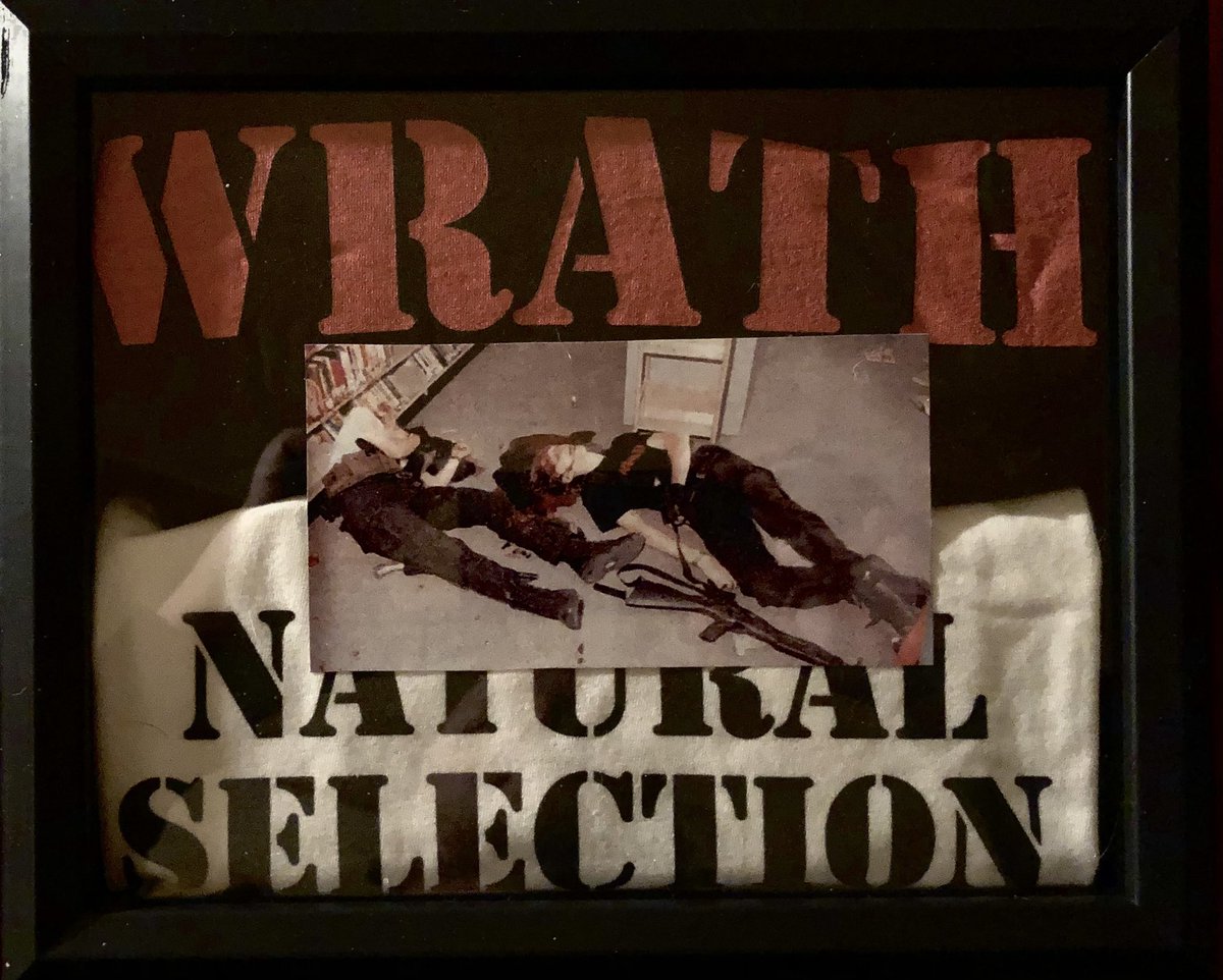 Johnny_Hellion's tweet photo. Columbine Shadow Box by Johnny Hellion https://t.co/kLQ41T9CwY