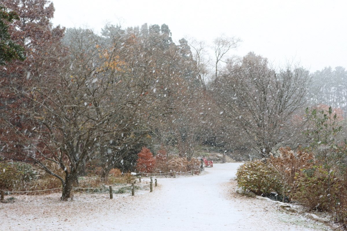 wntrult's tweet image. The first snow of 2025 has happened in South Korea.

aespa WINTER is scheduled to hold her birthday party event “WINTER Blues” today.