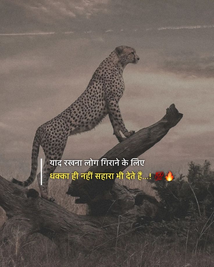 gulzar_ki_kitab's tweet image. याद रखना लोग गिराने के लिए,
धक्का ही नहीं सहारा भी देते हैं....