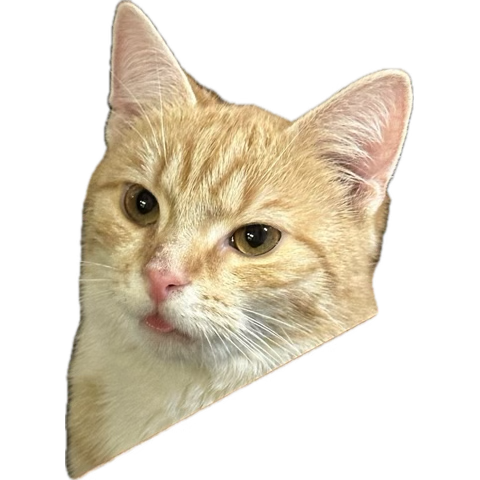 So wird einfach Börse manipuliert!

Japans Zins News und ein Dump der allen Angst macht!
Dann kommt Vanguard und startet Bitcoin Spot ETF als Produkt!
(Japan Anleihe Zins heute einfach höher als vor dem Dump)‼️