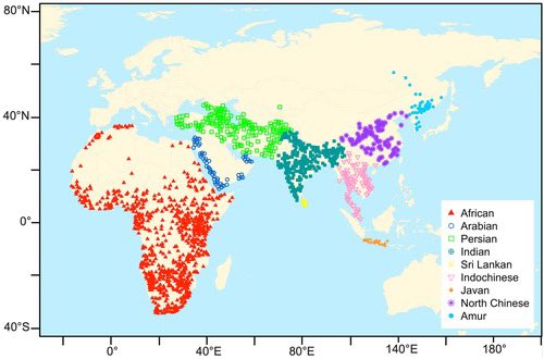consbiog's tweet photo. 🐆 How much did Asian leopards adapt after dispersing from Africa? A global #SDM shows most Asian subspecies still occupy an ancestral #bioclimatic niche, with limited shifts into colder or more seasonal environments, mainly in the Persian #leopard.
🔗 https://t.co/gjwVmrbqXq https://t.co/jKNDRIcMCu