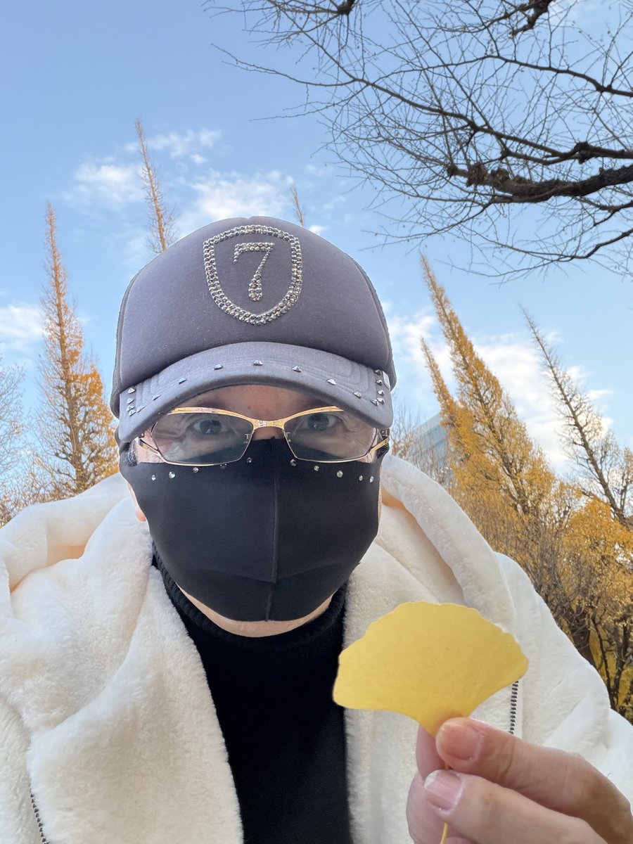 仕事の合間に
イチョウ並木🍁