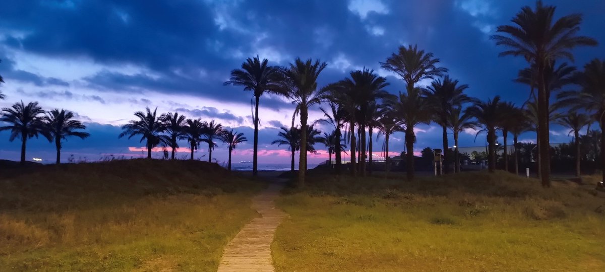 Javier Miravete 🇵🇸 tweet media