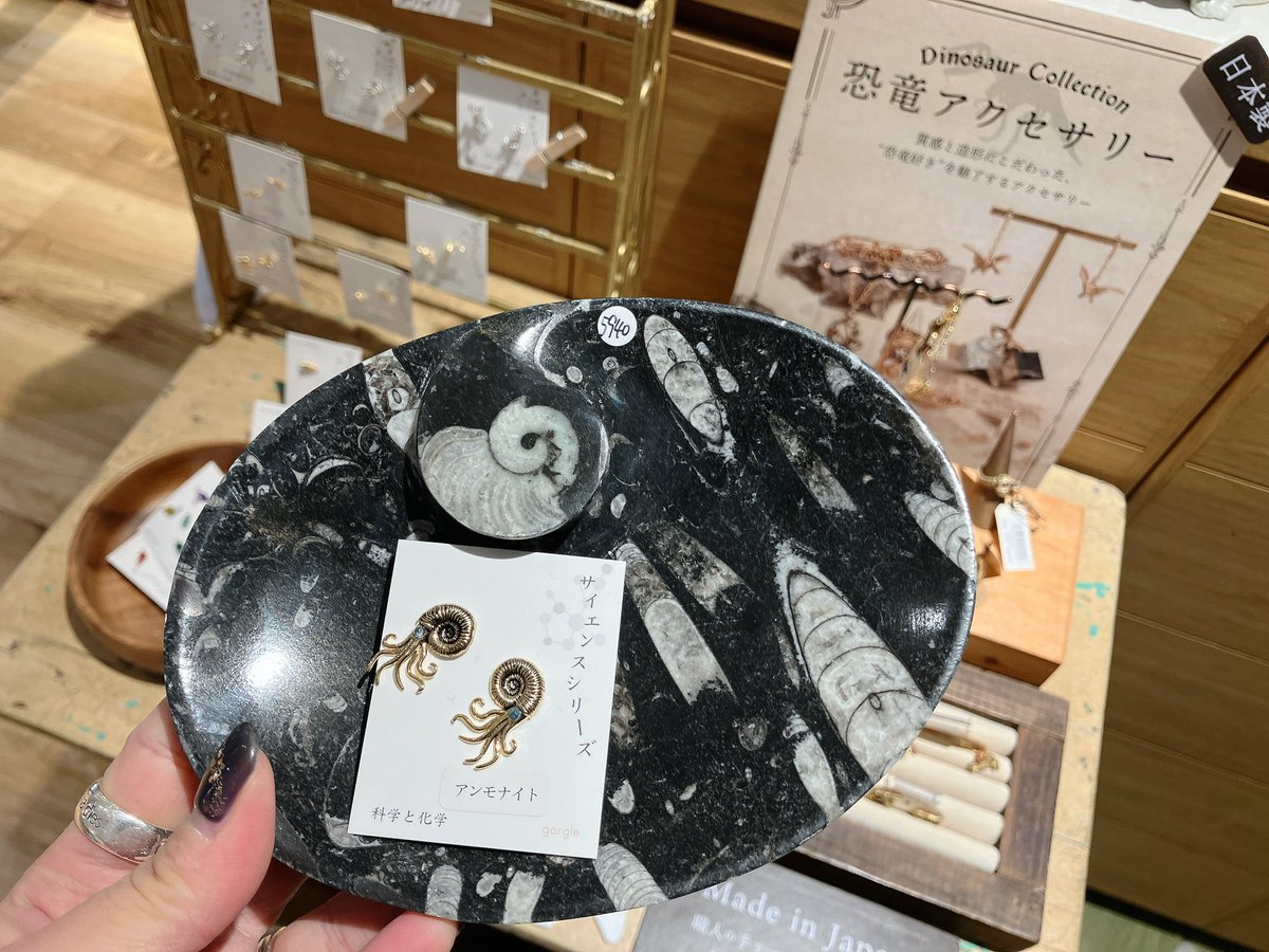 久しぶりにゴニアタイト型アンモナイトのお皿が入荷いたしました