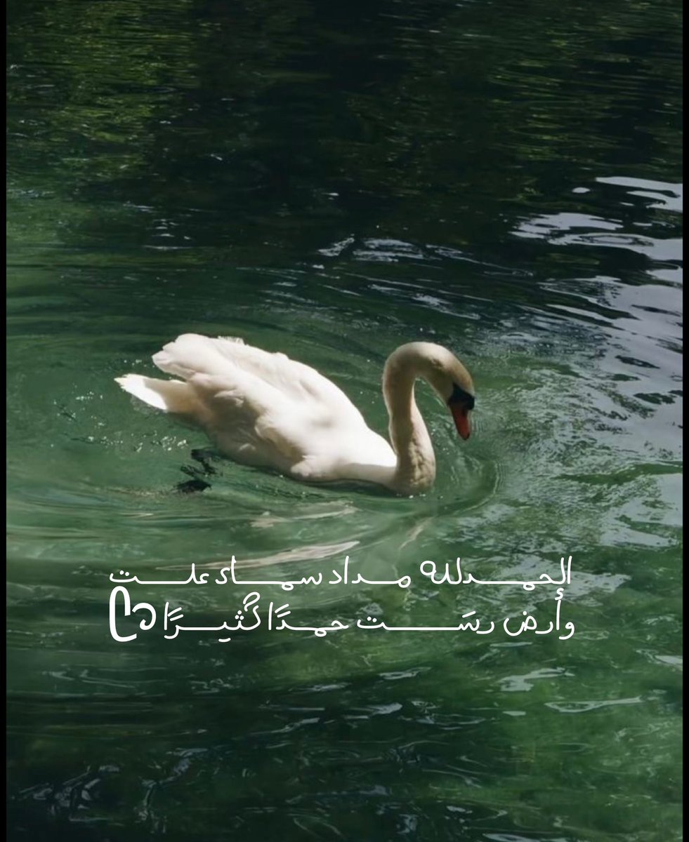 ﴿رَبِّ أَوزِعني أَن أَشكُرَ نِعمَتَكَ الَّتي أَنعَمتَ عَلَيَّ﴾  
فالحمدلله قَولاً وفعلاً وشكرًا ورضًا غارقون في نعمك يا الله فلك الحمد حتى ترضى لم نرى في الحمد إلا زيادة في العطاء فالحمدلله بقدر كل شيءالحمـــدلله مــداد سمـــاء علــــت وأرض رسَــــــت حمـدًا كثيـــرًا
 🦢🤍