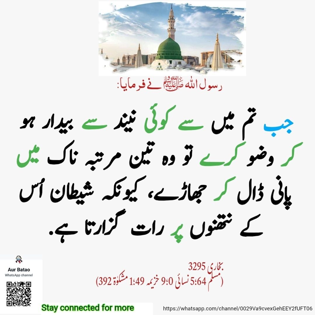 ahmedlodhi786's tweet photo. صَلَّى اللَّهُ عَلَيْهِ وآلہ وَسَلَّم❤️
لاکھوں، کروڑوں دروُد و سلام نبی کریمﷺ پراور انکی آل پر💚
#hadeesoftheday #bukharishareef #hadeesinurdu #AurBatao https://t.co/6OsfDG1qw2