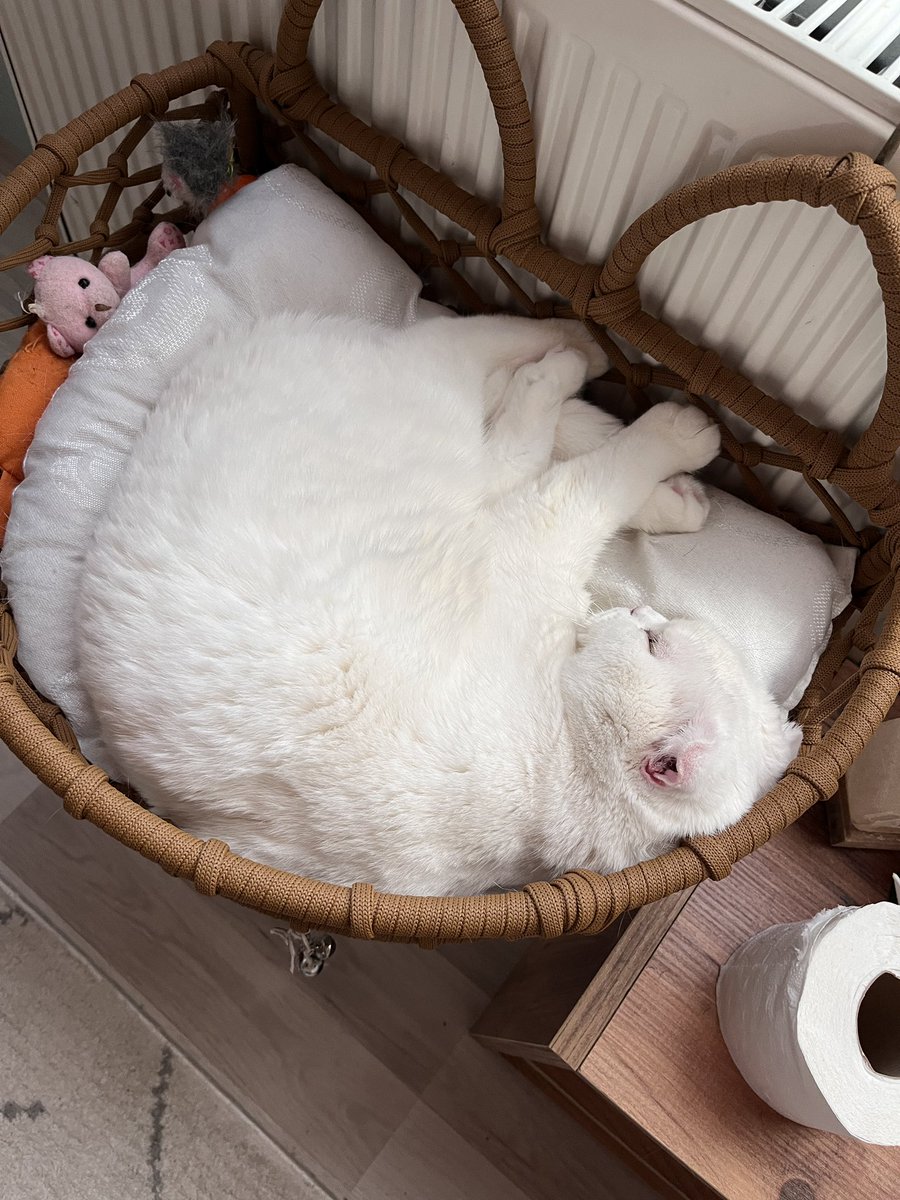 kıç geldikine göme yatakima kavuçdum