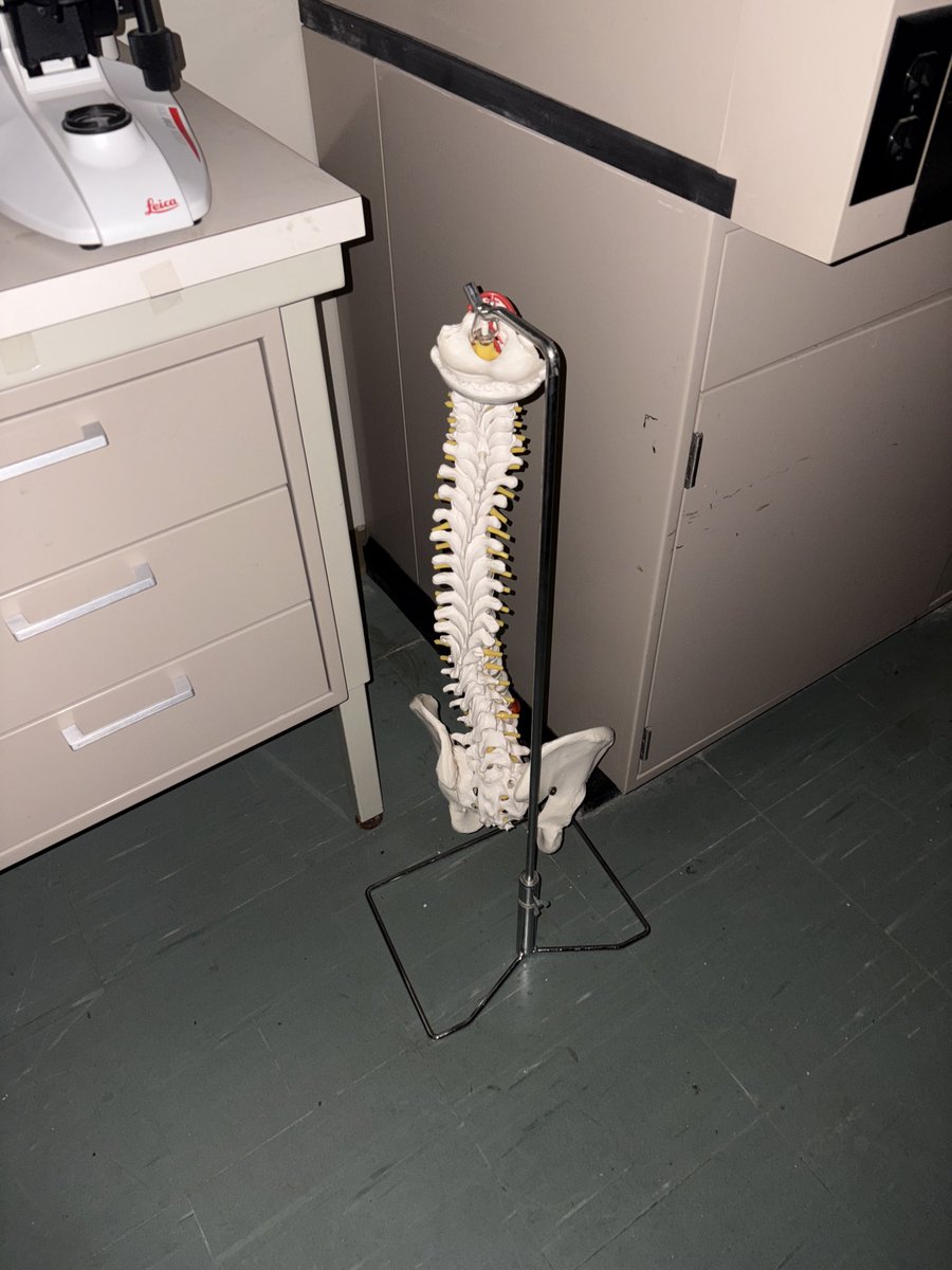 يُنَجِّزُ هَذا الدَهرُ ما كانَ مَوعِداً 

 وَتَمطُلُ مِنهُ بِالرَجاءِ وُعودُ