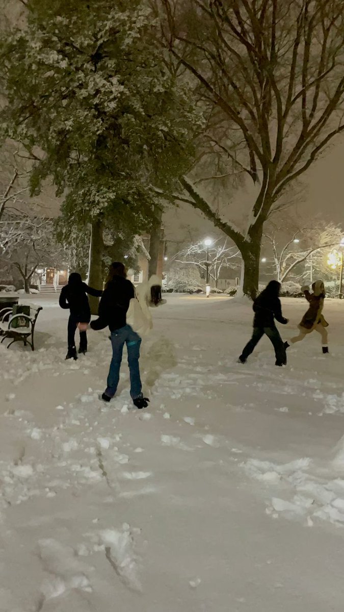 宮崎、Miki tweet media