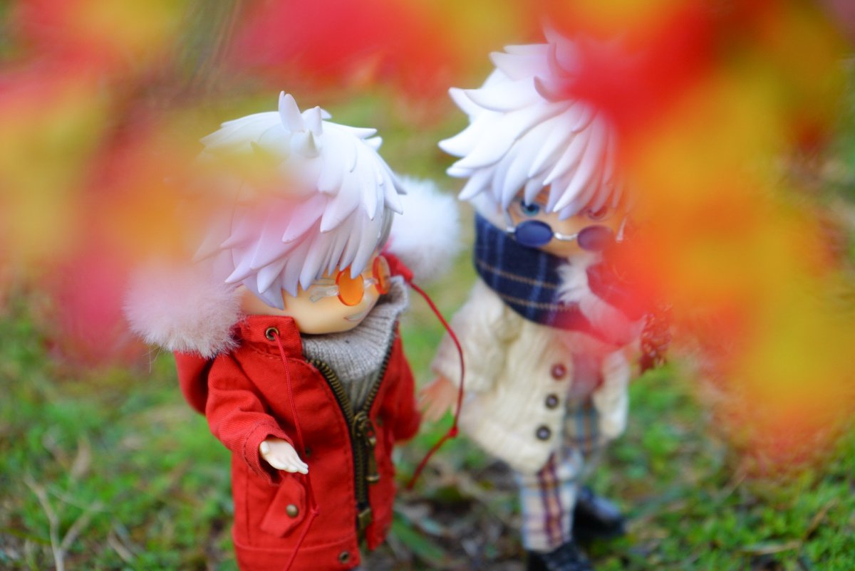 ひらひら落ちる色の下で、ふたりは同じ季節を拾い集めていた。
気づけばいつも、隣があたりまえになる