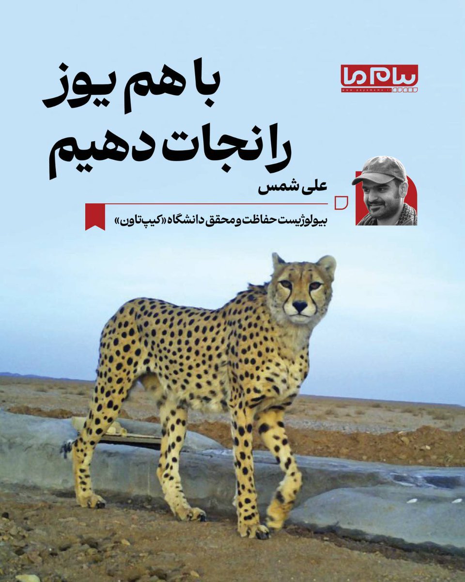 گفت‌وگو با سه مستندساز محیط‌زیستی بخش مستندهای نیمه‌بلند مسابقه ملی «سینماحقیقت»

با هم یوز را نجات دهیم
| علی شمس |

یادداشت کامل را در سایت «پیام ما» بخوانید.
payamema.ir/payam/143598

#محیط_زیست #یوزپلنگ_ایرانی #یوز_ایرانی #پیام_ما