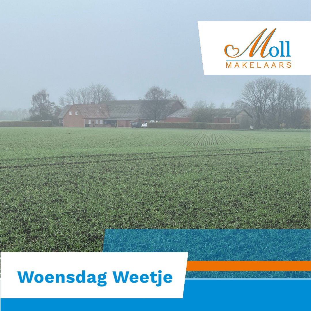 𝙒𝙤𝙚𝙣𝙨𝙙𝙖𝙜 𝙒𝙚𝙚𝙩𝙟𝙚

Hoe laat je een paradijsje in Luinjeberd achter om een nieuw leven in Denemarken te beginnen? Benieuwd naar het verhaal? Lees het volledige verhaal via de link.  mve.to/NaTrbXU7VV