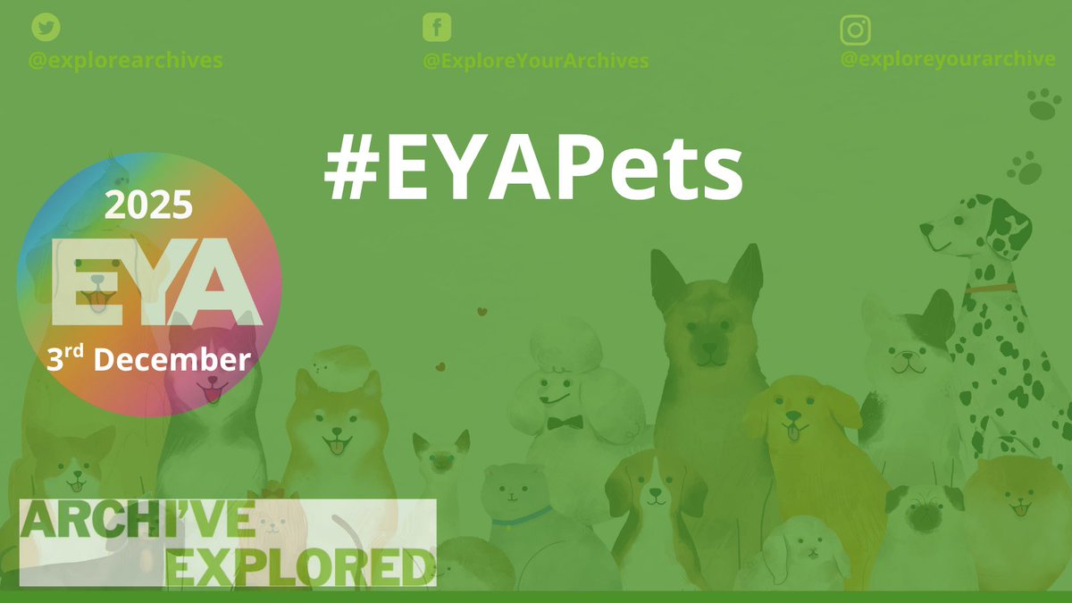 Explore Your Archive tweet media