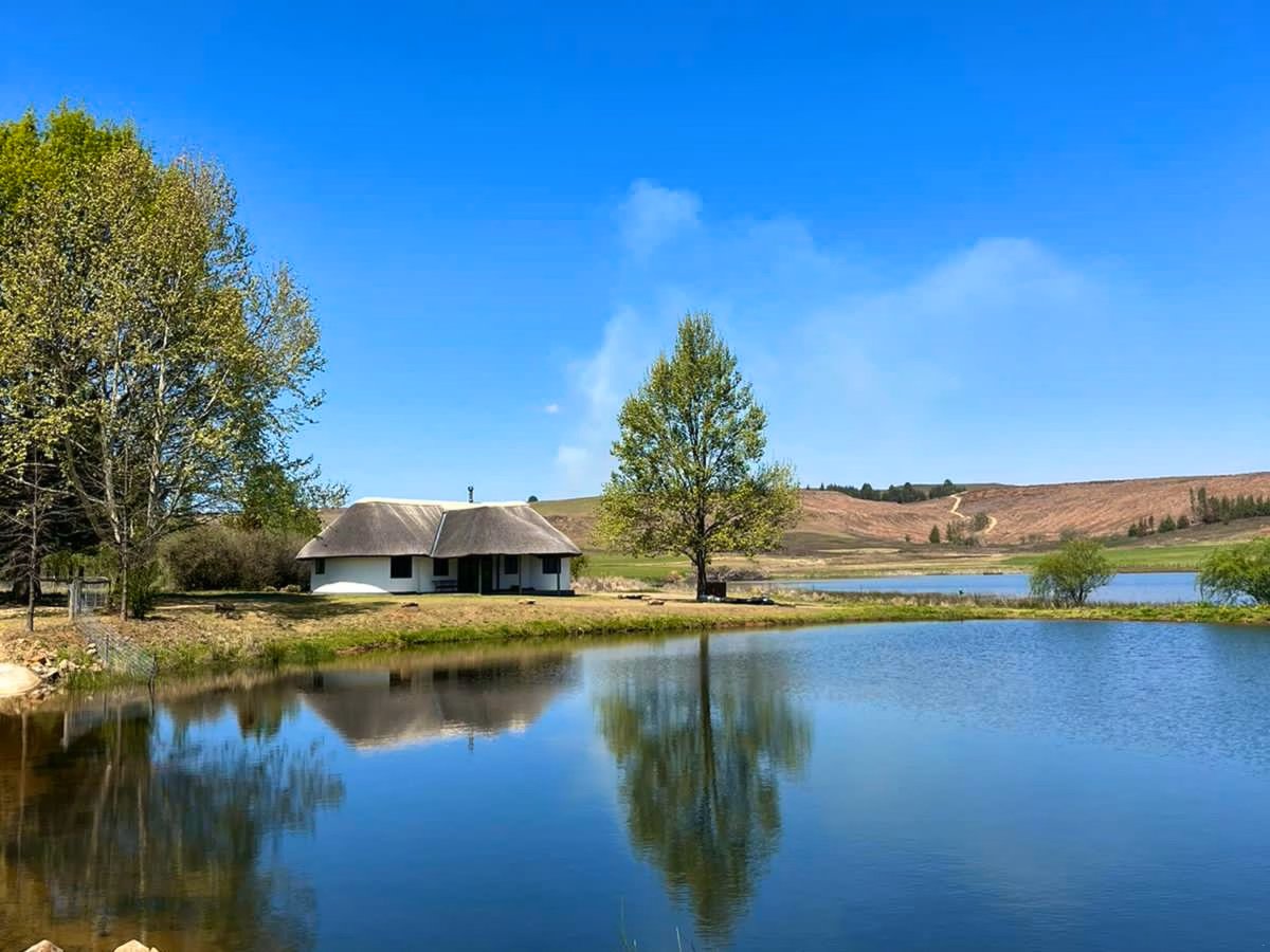 #SouthDrakMember Dieu Donne Cottage offers a peaceful self-catering getaway with breathtaking lake/dam and mountain views. Perfect for families, nature lovers, and pet owners, this charming cottage combines rustic charm with modern comforts.

👉drakensberg.org/listing/dieu-d…