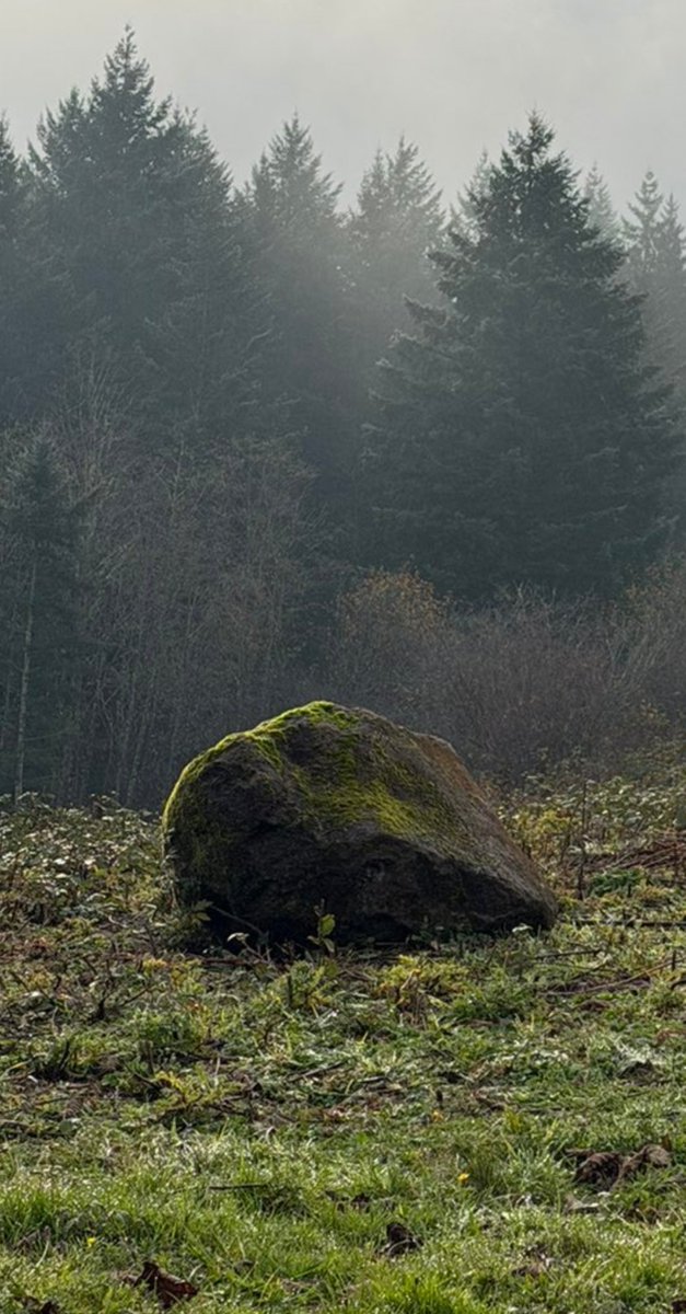 EnderJacket's tweet photo. @GTWScar A glorious boulder to behold https://t.co/KwTkUohUXH