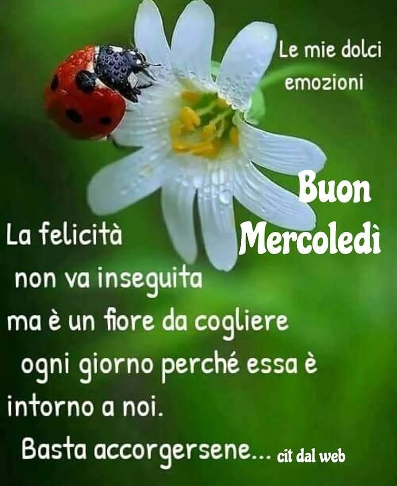 Marianna tweet media