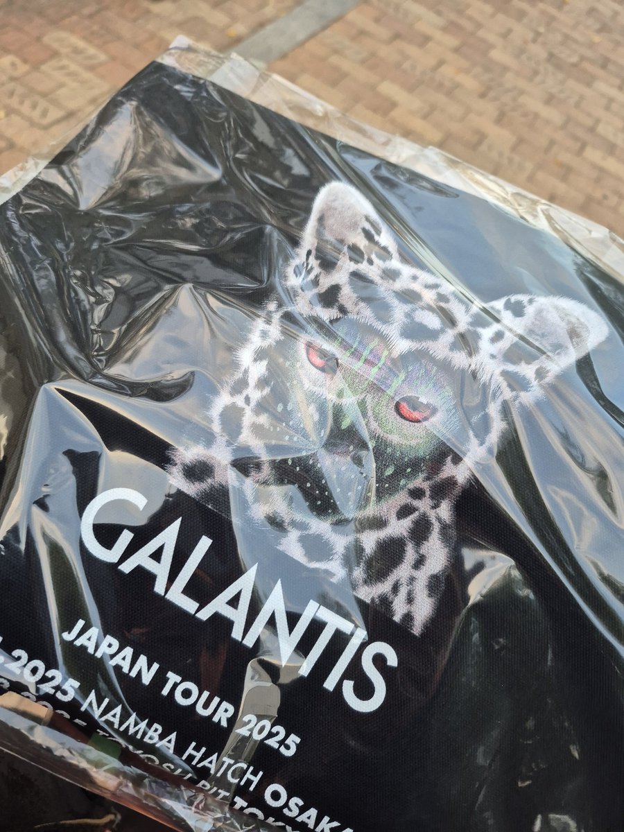 galantisトートかわいー！🥳🔥
