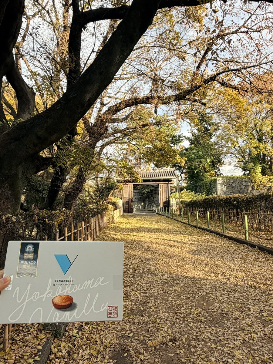 ioa37366001's tweet photo. #名古屋でも横浜バニラバニ

紅葉綺麗だった
シンプルで洗練された横バニのパケが映えてる https://t.co/zH3MJG5w3z