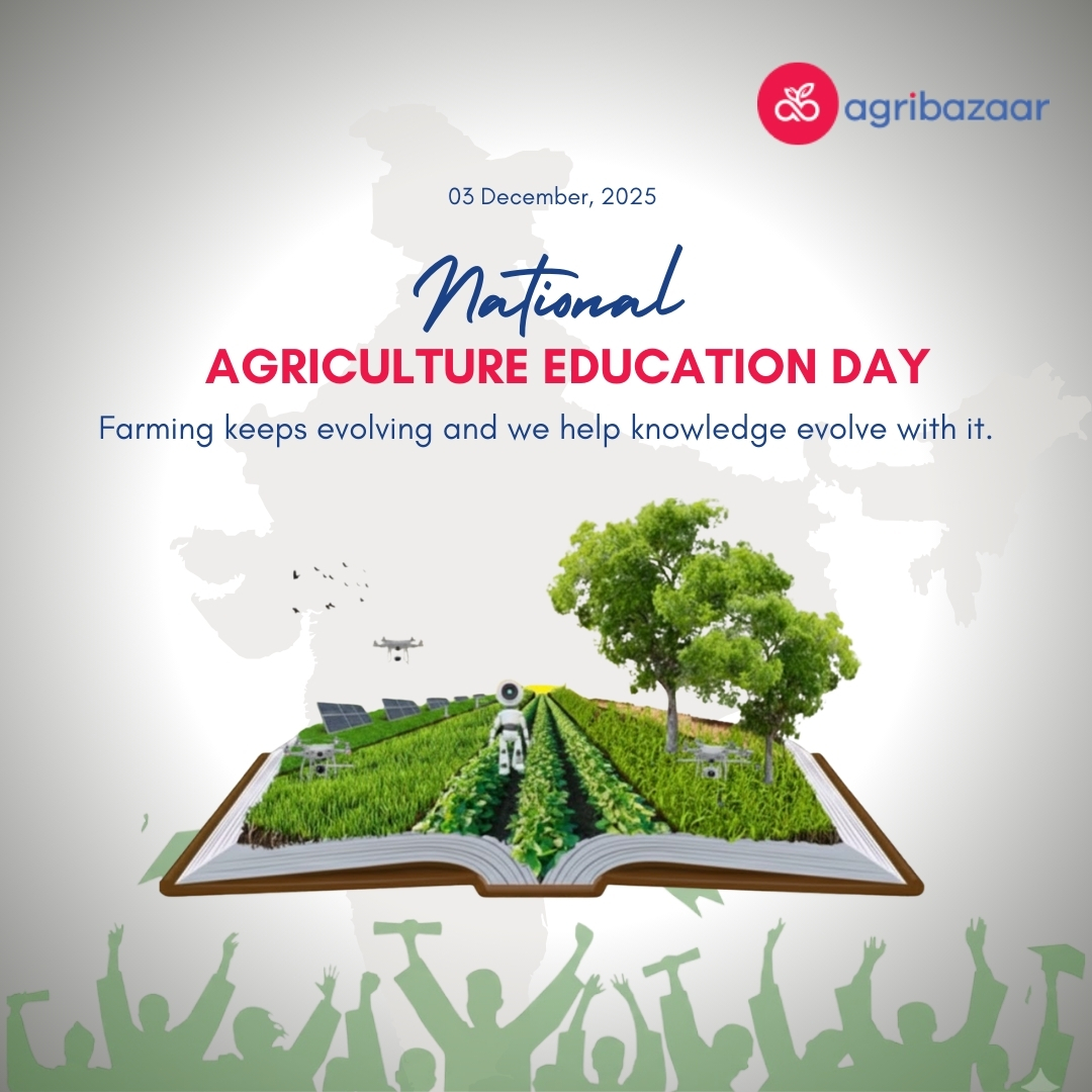 AgribazaarA's tweet photo. Knowledge drives progress and progress drives agriculture.
At agribazaar, we’re committed to making both accessible. Today we celebrate learning that grows our future.
#agribazaar #NationalAgricultureEducationDay #KnowledgeForGrowth #AgriProgress #SmartAgriculture https://t.co/SmpDb1R8BJ