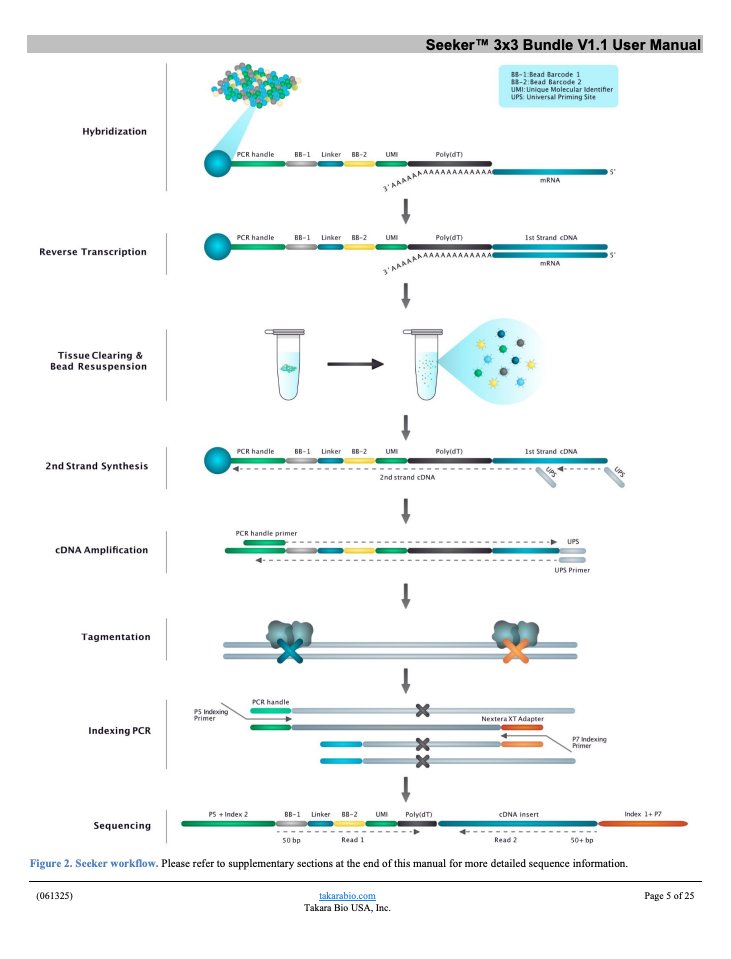 kenbwork's tweet image. If you work regularly with molecular data, but don&apos;t prep it yourself, highly recommend reading the user manual for a kit you interact with cover to cover. Every little step is there for a reason + will teach you interesting biology. Small deviations at the bench often perturb…