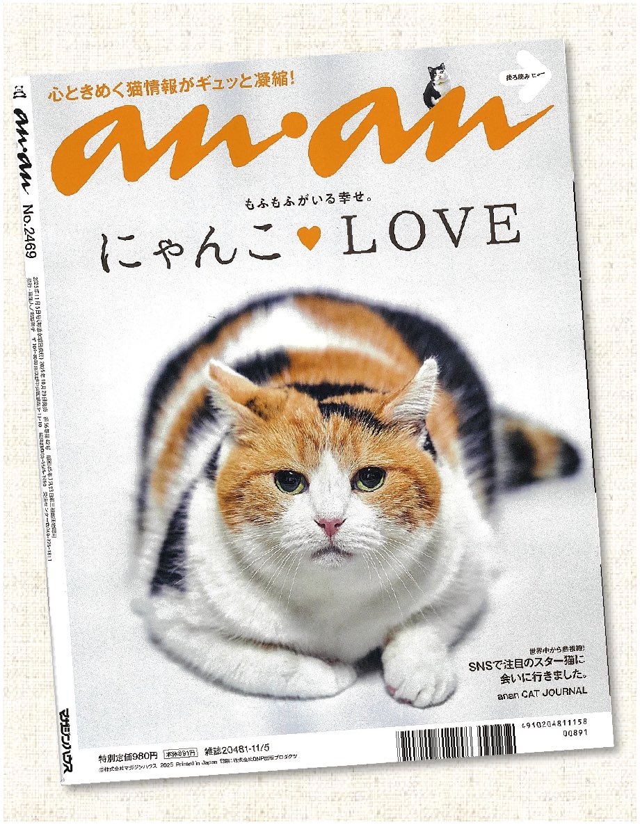 KusuguruJapan's tweet photo. ＊お知らせ＊
雑誌『anan』猫特集号【にゃんこ♡LOVE】に
クスグルの広告をちょこっと掲載していただきました！🎉

猫好きさん必見の一冊に、私たちの世界観をちょっぴり添えられて嬉しい気持ちでいっぱいです。

本屋さんで見かけたら、ぜひ手に取ってみてくださいね。 https://t.co/2zvasiTayD